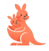 Baby Kangaroo